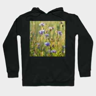 Cornflower Hoodie